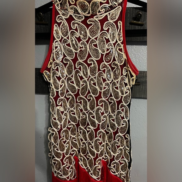 The Perfect Roaring 20’s Paisley Sequins Fringed Dress - Picture 3 of 6